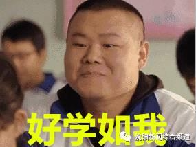 新华APP最新版本的深度体验解析