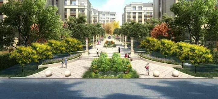 平湖香缇绿都最新价格与市场分析概览