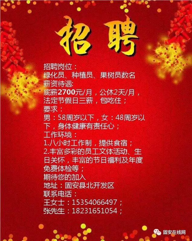 东光招工吧最新招工信息解析与汇总