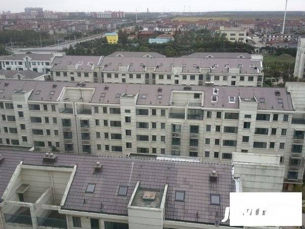 海韵馨苑最新房价动态与影响分析，市场趋势及影响深度解析