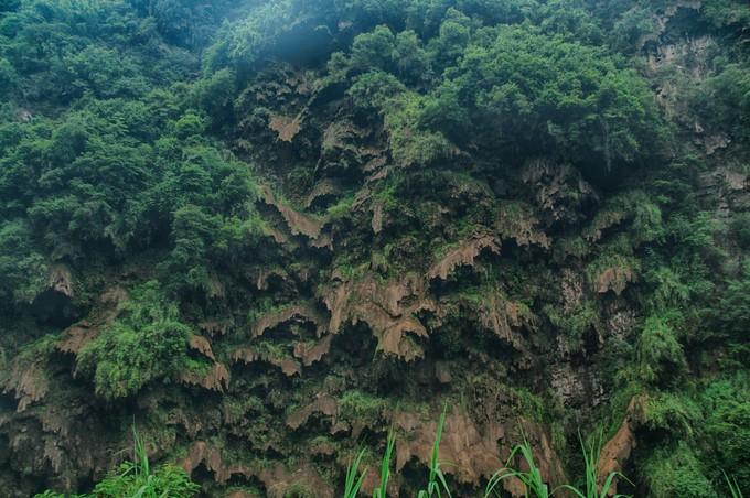 穿越之培植师，探索未知世界的神奇旅程最新章节