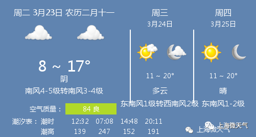 上海最新天气预报，气象变化及应对策略解读