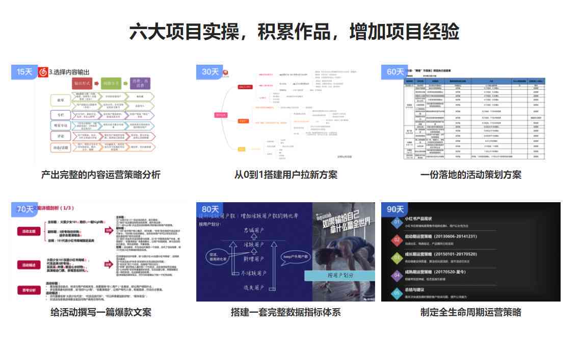 创新性执行策略规划：新澳天天彩正版免费资料_WP12.6.48