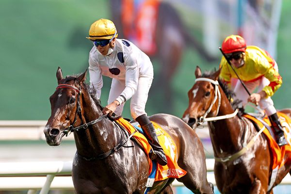 深度调查解析说明：2024新澳历史开奖记录香港开_V82.66.64