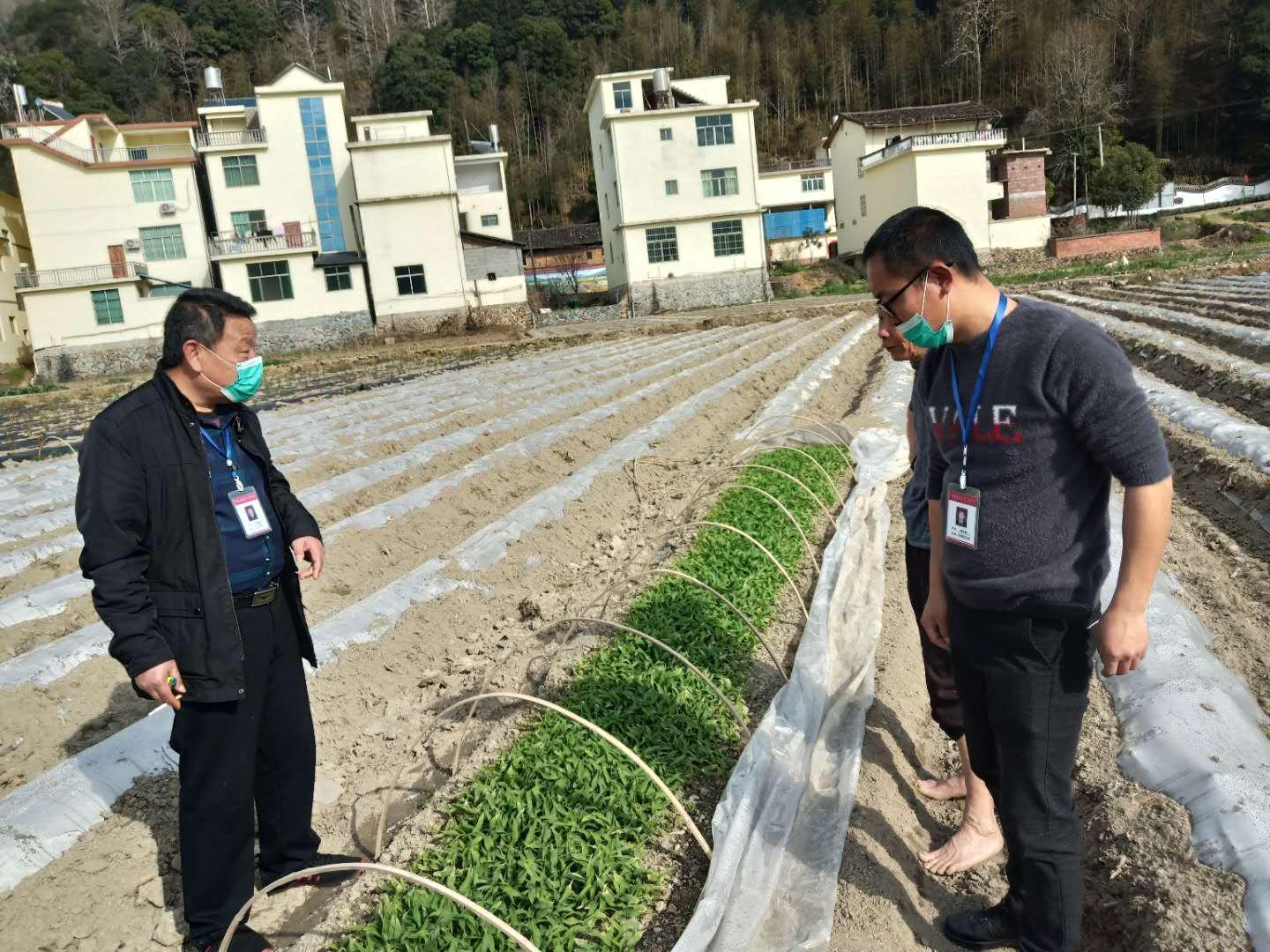 最新化肥价格动态，影响农业的成本与效益分析