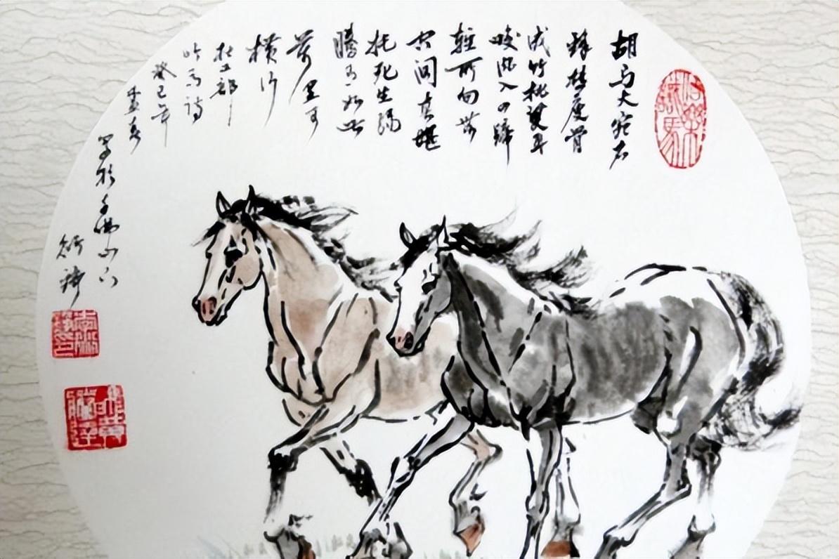 房兵最新视频，深度解析军事时事，洞察国际风云引领观众关注
