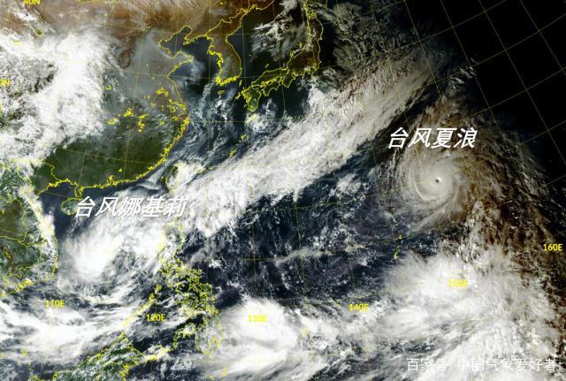 台风四号最新动态，全面监测与应对策略