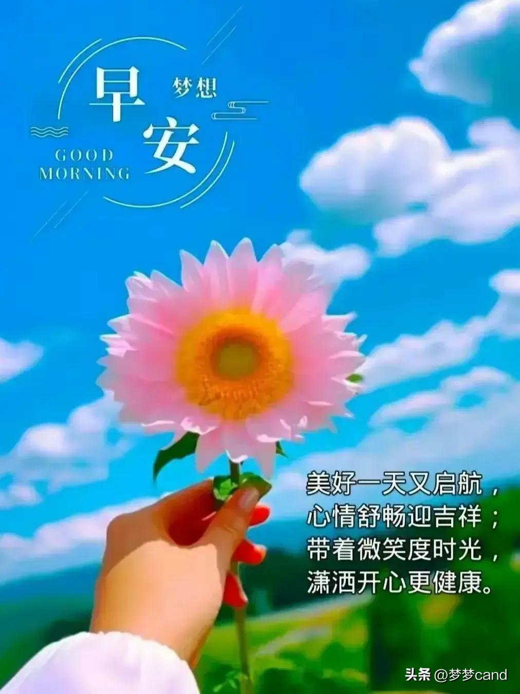 2024天天彩全年免费资料，正确解答定义_旗舰版78.89.86