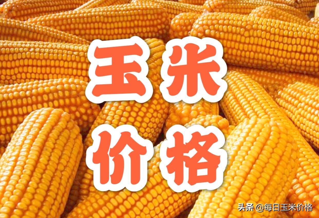 刑事辩解 第833页