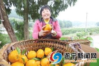 时代背景下的新会发展脉络，最新消息与动态更新