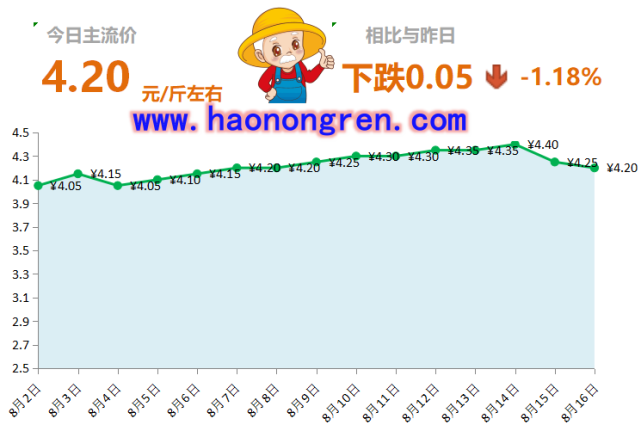生姜最新价格行情与小巷独特风味探秘