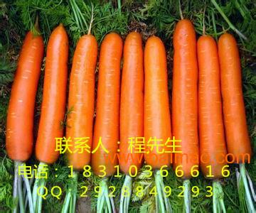 胡萝卜最新价格行情及市场走势深度解析