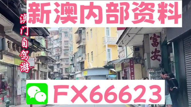 新澳精准资料免费提供，动态词语解释落实_app68.58.97