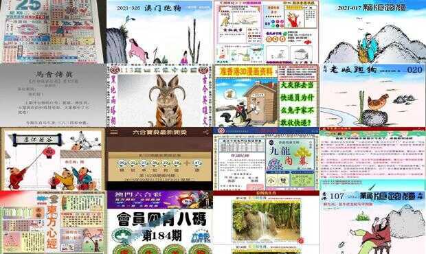 香港二四六天天开彩大全，效率资料解释落实_VIP94.53.95