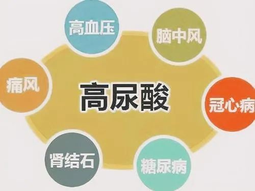 高血压最新分级，科技赋能健康管理，智能医疗之旅开启