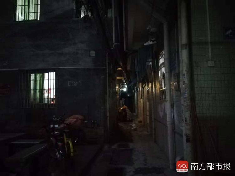 午夜影院最新探索，隐秘宝藏藏于小巷之中