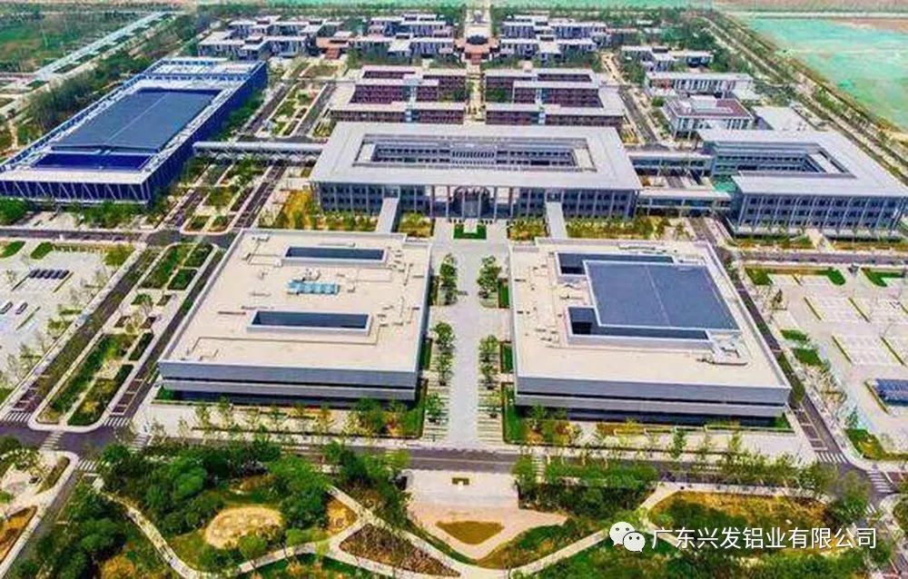 高邑县最新招聘信息揭秘，小巷中的职业机遇等你来探索！