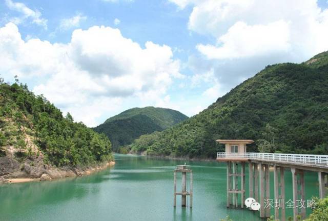红安深沟水库最新动态与小巷中的隐秘珍宝