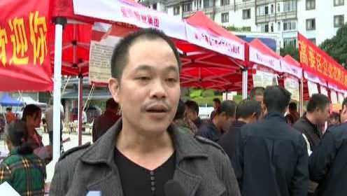 龙圩最新招聘动态与职业机会展望，最新招聘信息及职业展望一网打尽