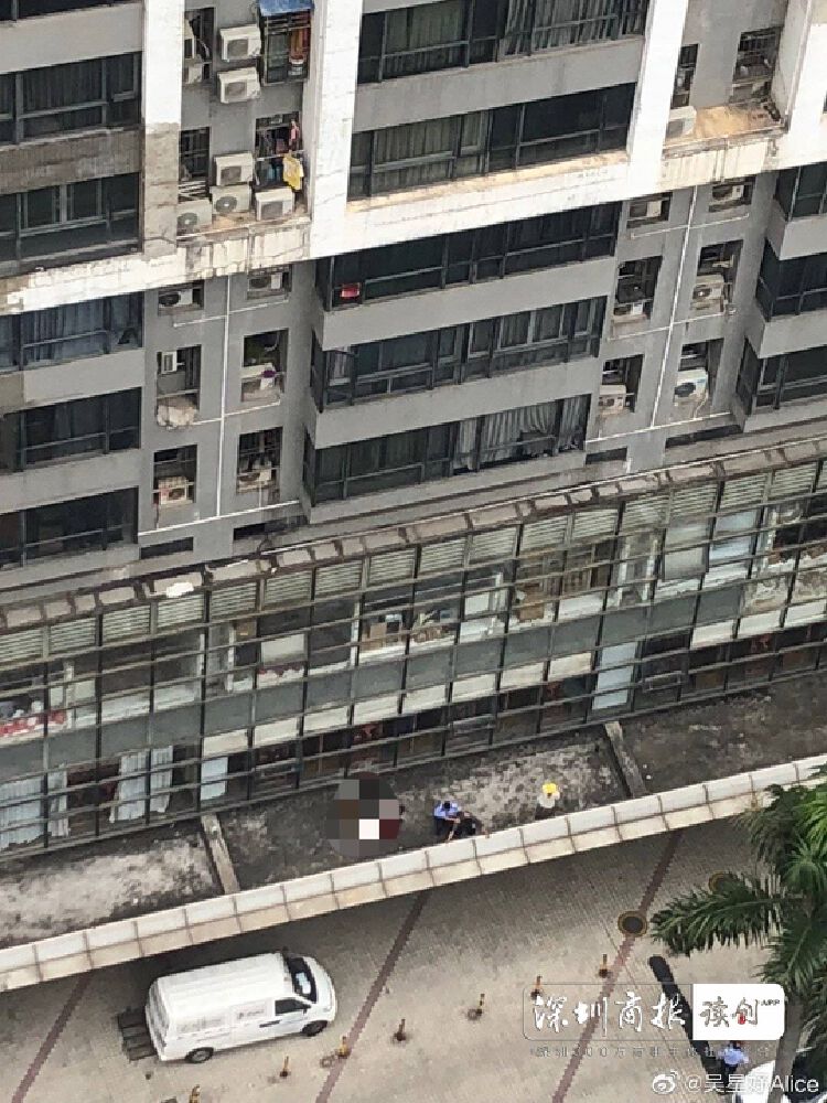 深圳坠楼事件最新情况及深度解析