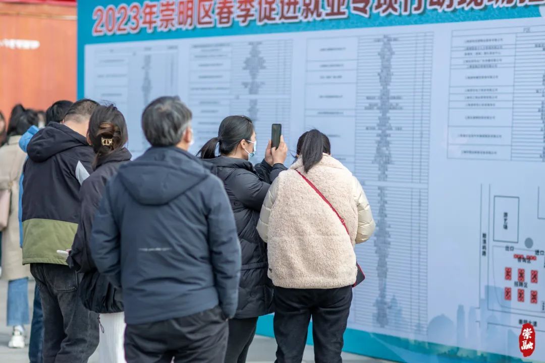 崇明最新招聘动态及其地区影响概览