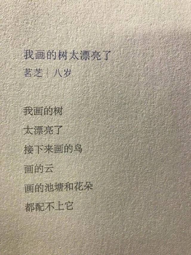 最新诗歌，探索文学魅力的无尽之旅