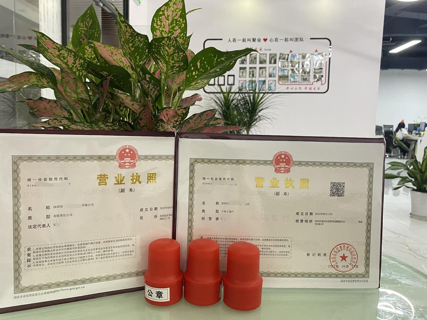最新公司注册流程详解指南