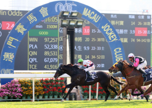 马会传真资料2024澳门，安全解析策略_顶级版14.53.29