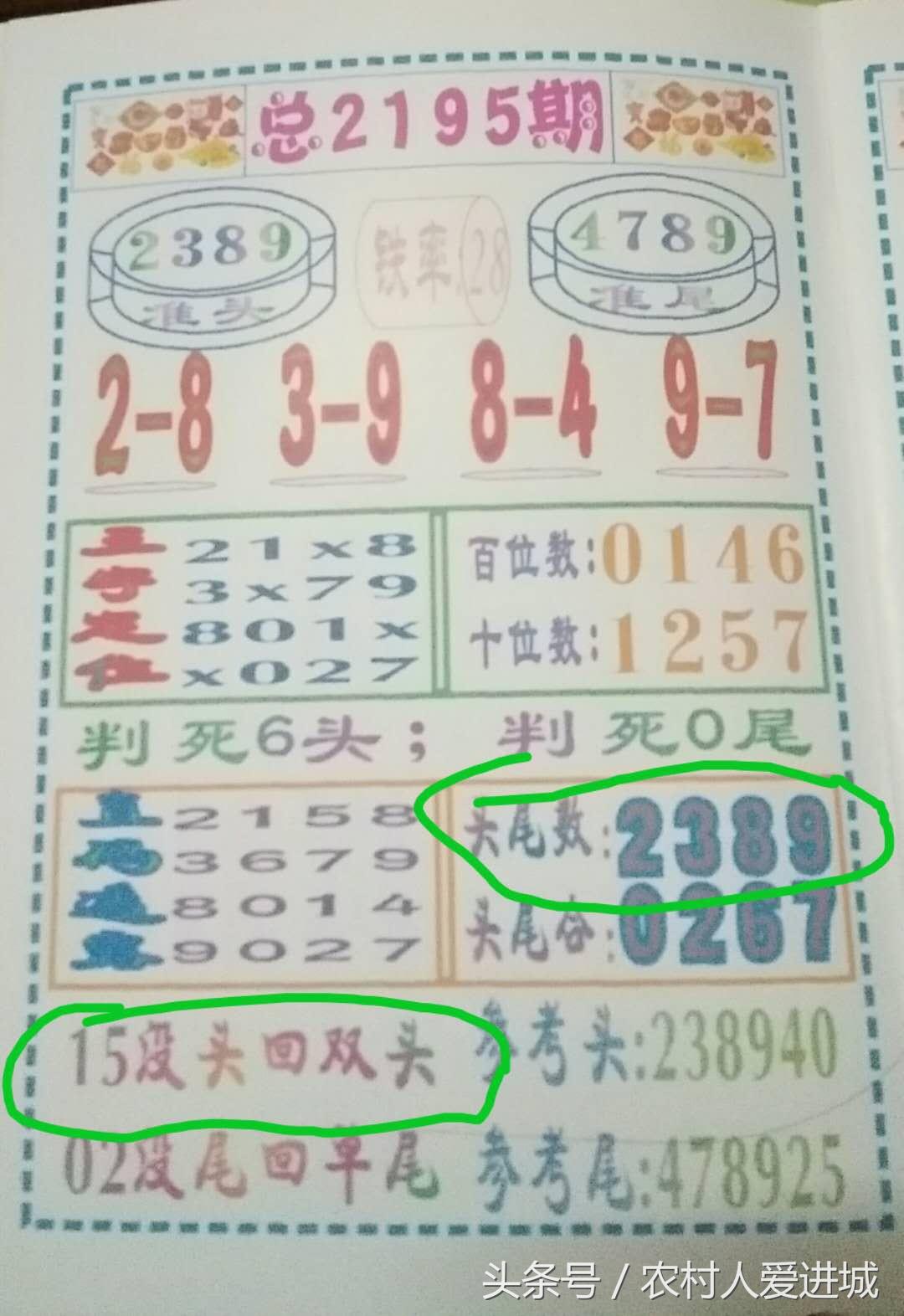 律师营业执照 第855页