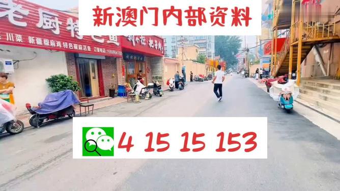 2024新澳门天天开好彩大全，实践调查解析说明_N版87.79.90