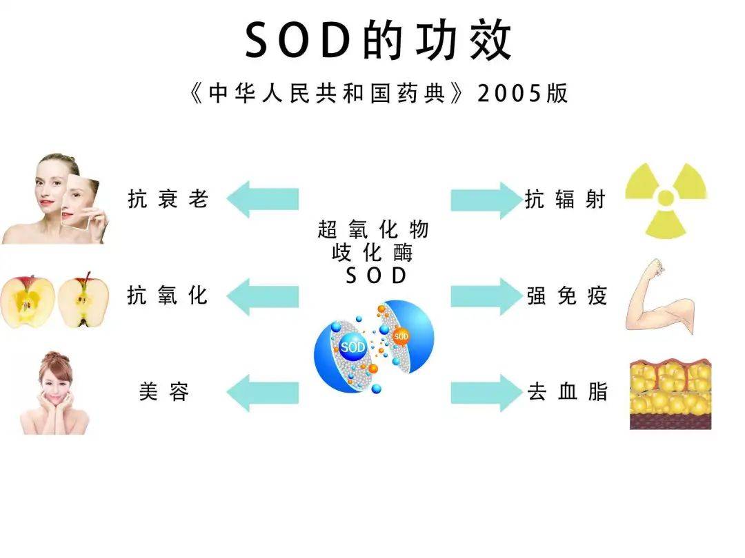 关于SOD的最新研究进展与应用前景探索