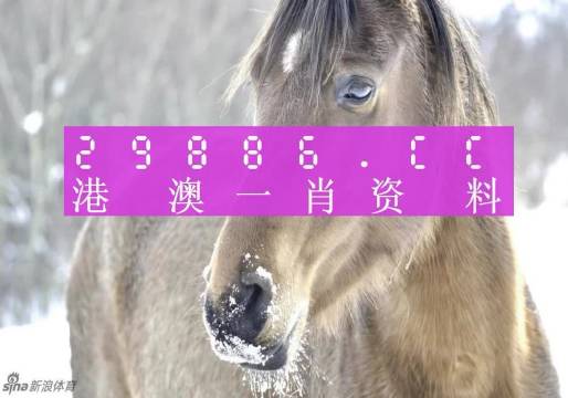 澳门一肖一码100%准确，精细设计计划_顶级款9.38.31