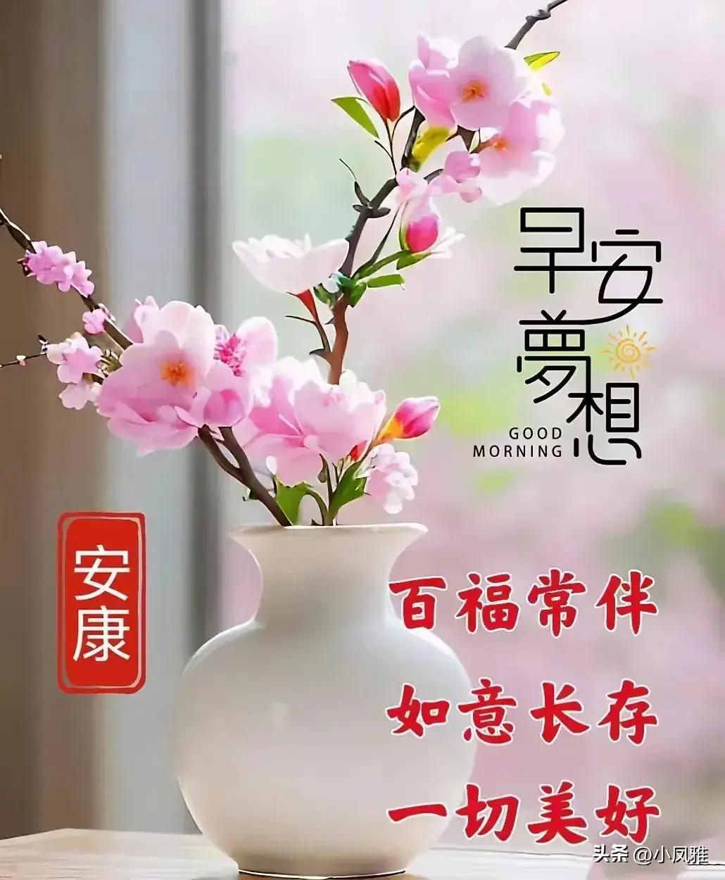 2024天天彩正版资料大全，迅速设计执行方案_W43.11.16