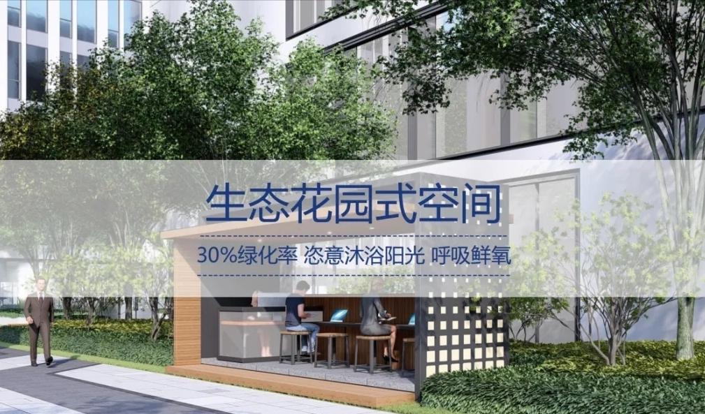 最新网战，自然美景的心灵探索之旅