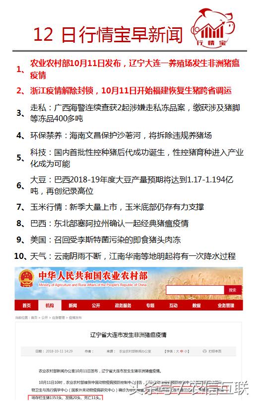 每日新鲜资讯，城市生活的温馨日常