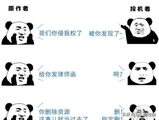 电影之夜，最新电影下载与温馨纽带体验