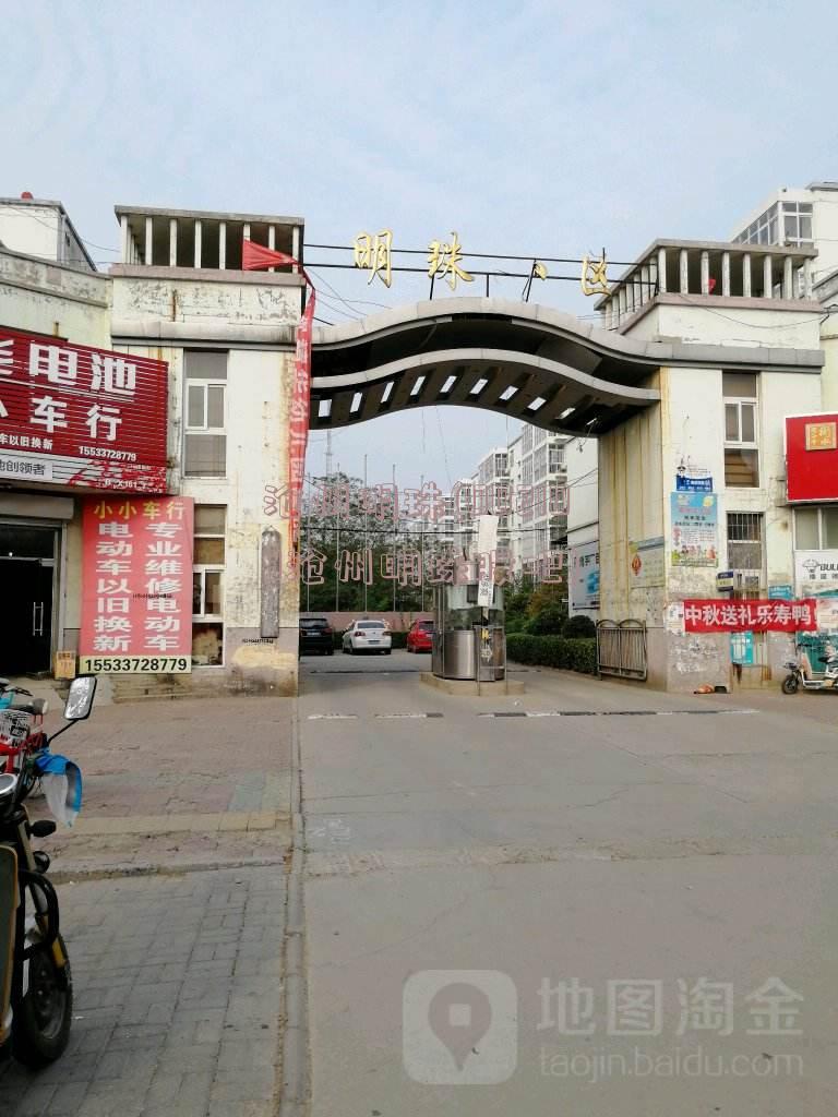 沧州明珠最新动态更新，揭秘最新消息