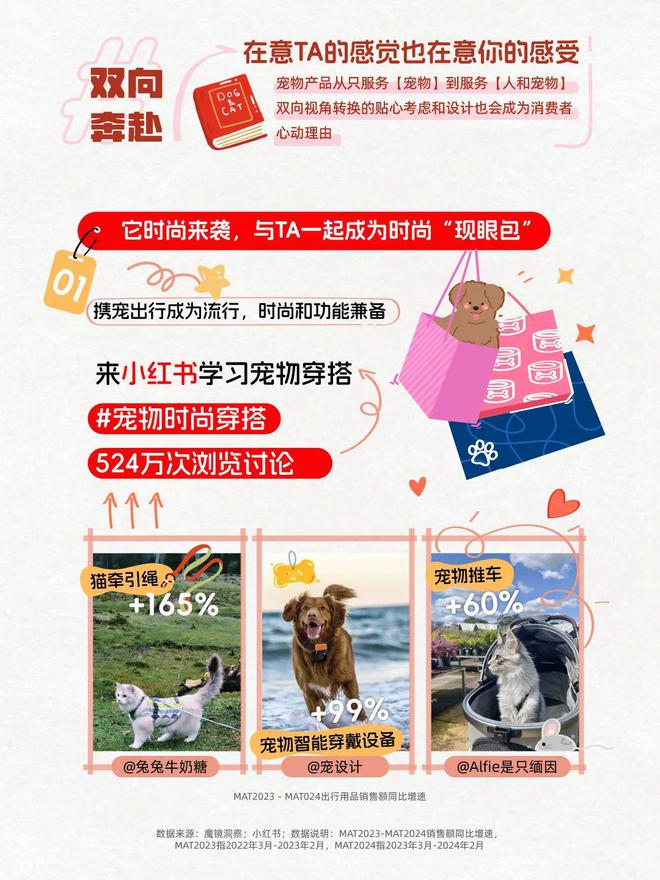 澳门精准资料大全免費經典版特色，创新性方案设计_户外版56.62.95
