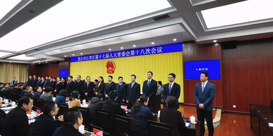 重庆最新人事任免概览，职务调整与领导变动全解析