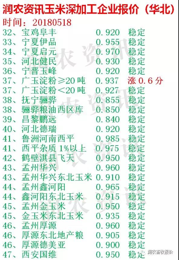 河北今日玉米最新价格，市场走势与影响因素深度解析