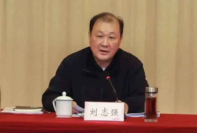 北京市年轻副市长高朋被开除公职，反腐风暴下的政治风波与内心挣扎之路