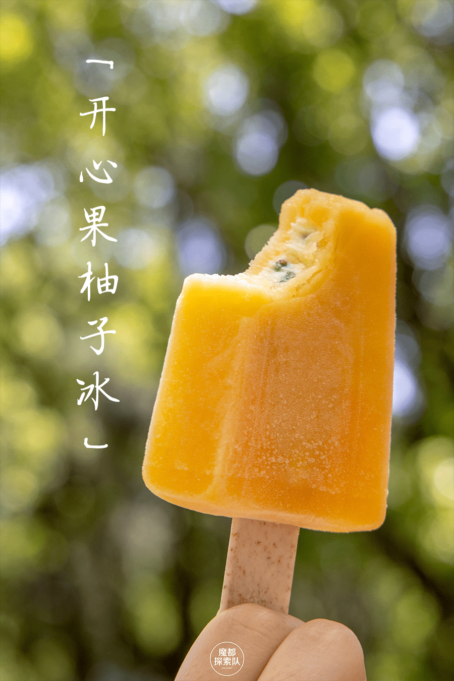 荆州市长被查背后的政治风波与呼唤自然美景的反思