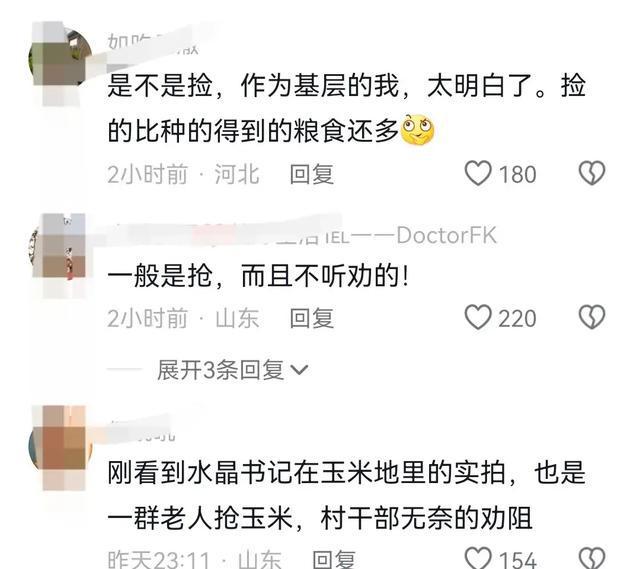 老人拾玉米被打致死伤事件