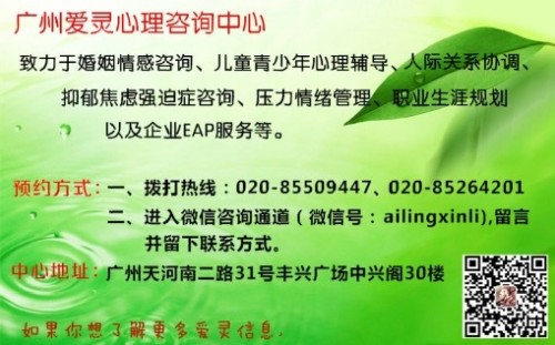泊本回应虚假宣传，平息风波的旅行，寻找内心平静之旅