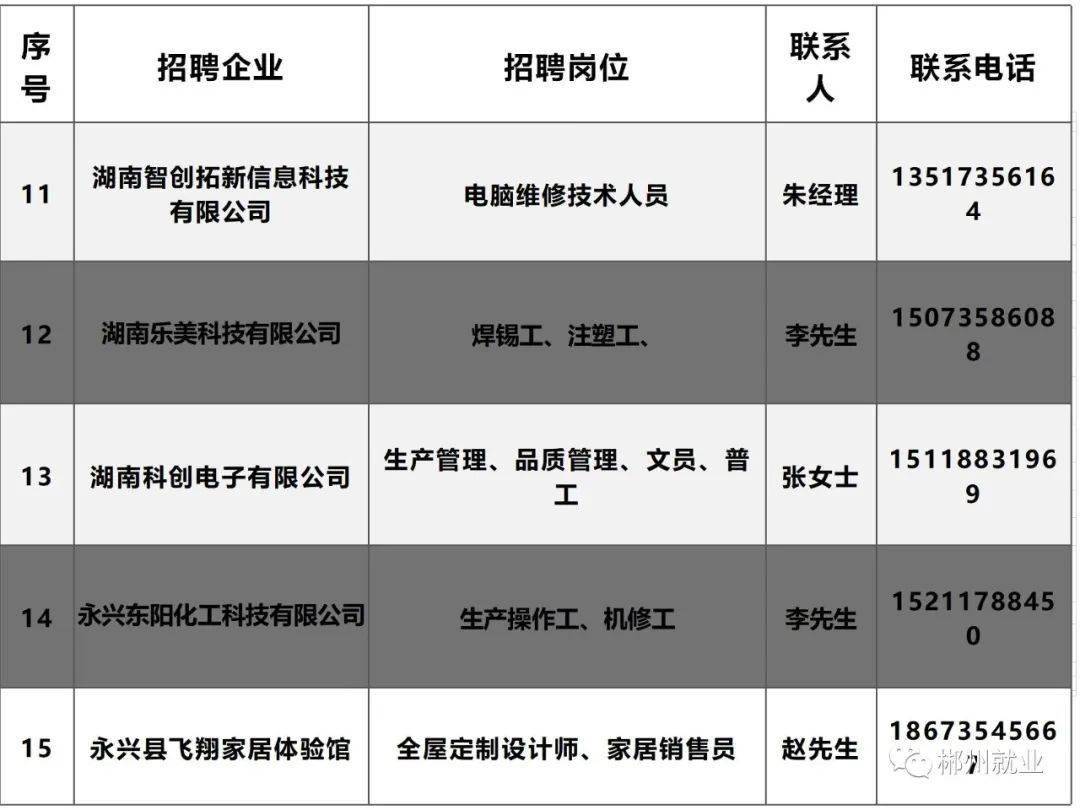 郴州市最新招聘信息及动态更新