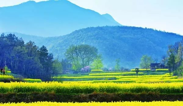 中国好声音最新一期