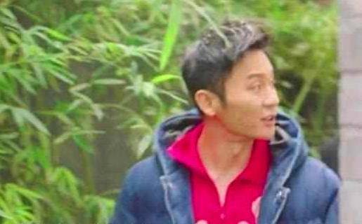 谢楠最新消息揭秘，小巷深处的隐藏版特色小店