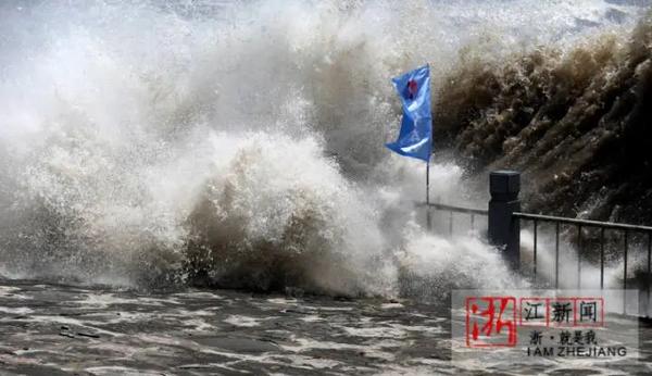 浙江最新台风动态，实时关注与科普知识全解析