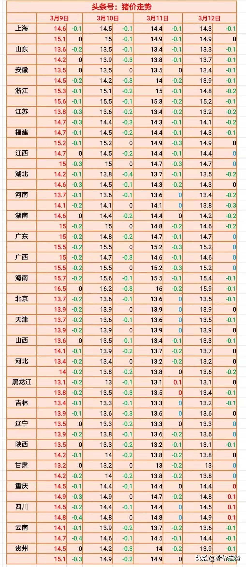 葱价格最新行情，全面指南与详细解析