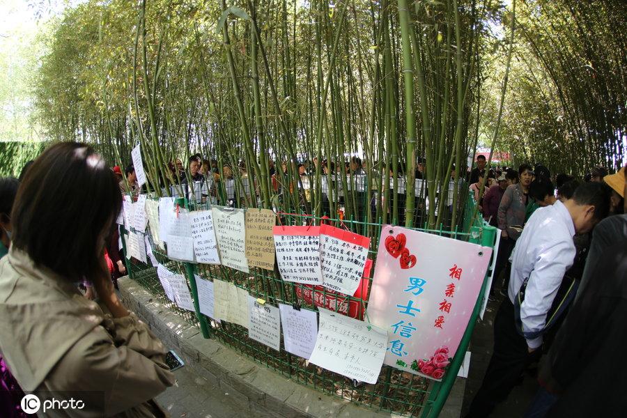 律师营业执照 第247页
